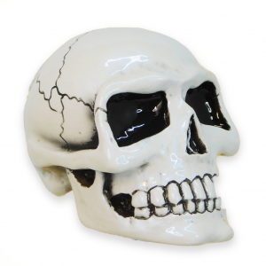 Small Skull -  Pearl White